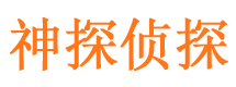 宝丰找人公司